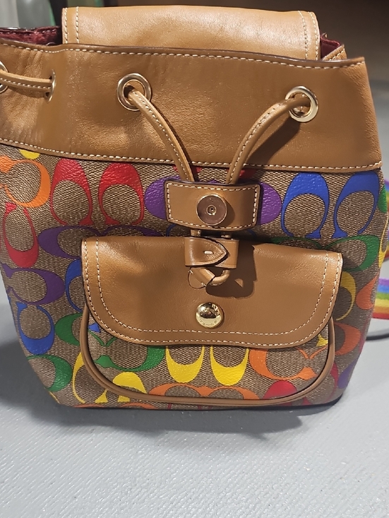 Coach EUC C4097 Pennie Backpack 22 In Rainbow Signature Canvas & Smooth Leather main image 15